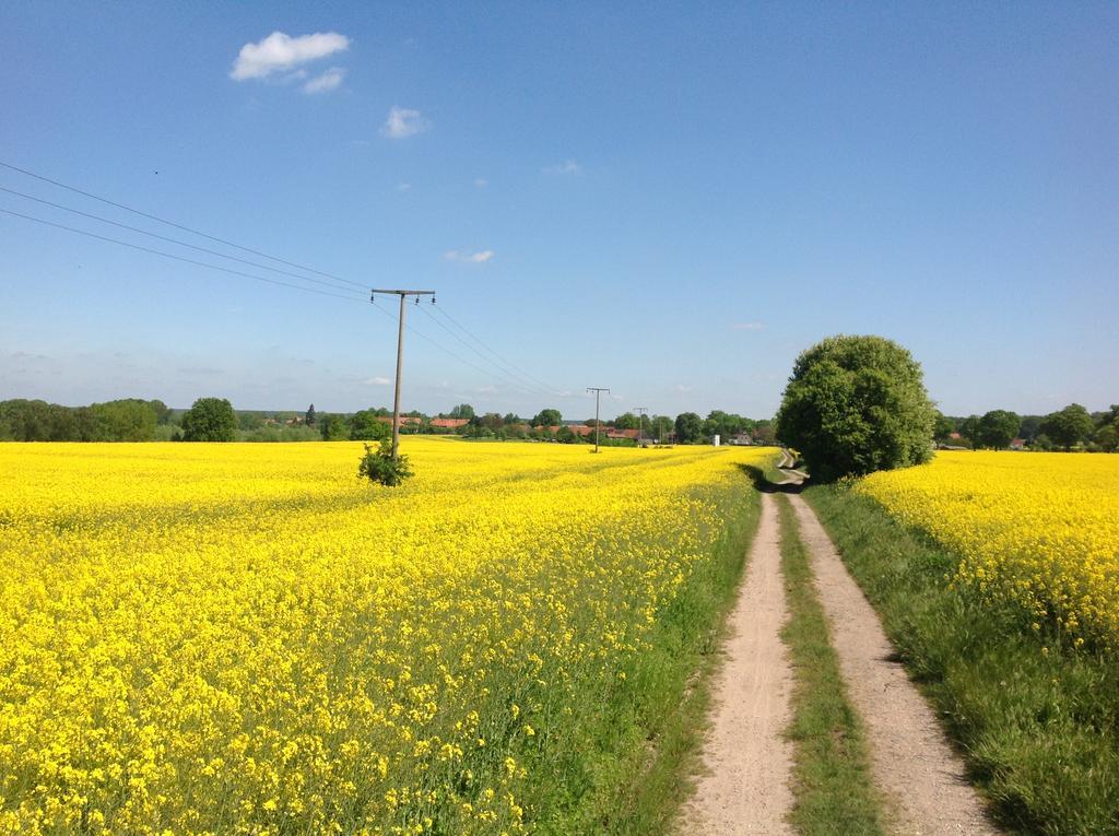 Landpension Zum Kleinen Urlaub Wredenhagen Eksteriør bilde